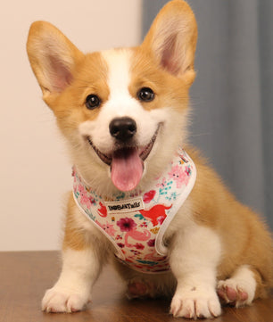 dinosaur printed best no-pull dog harness for extra small dog as part of a matching dog and owner accessory system for everyday walks