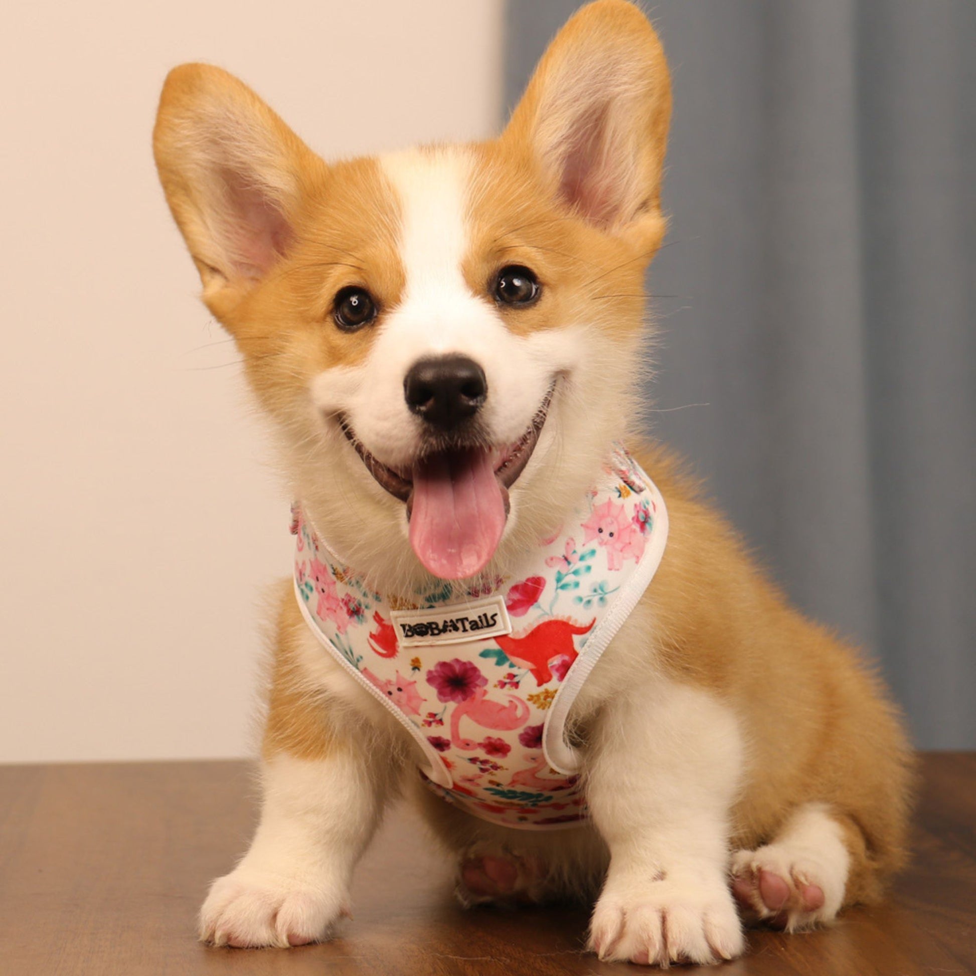 dinosaur printed best no-pull dog harness for extra small dog as part of a matching dog and owner accessory system for everyday walks