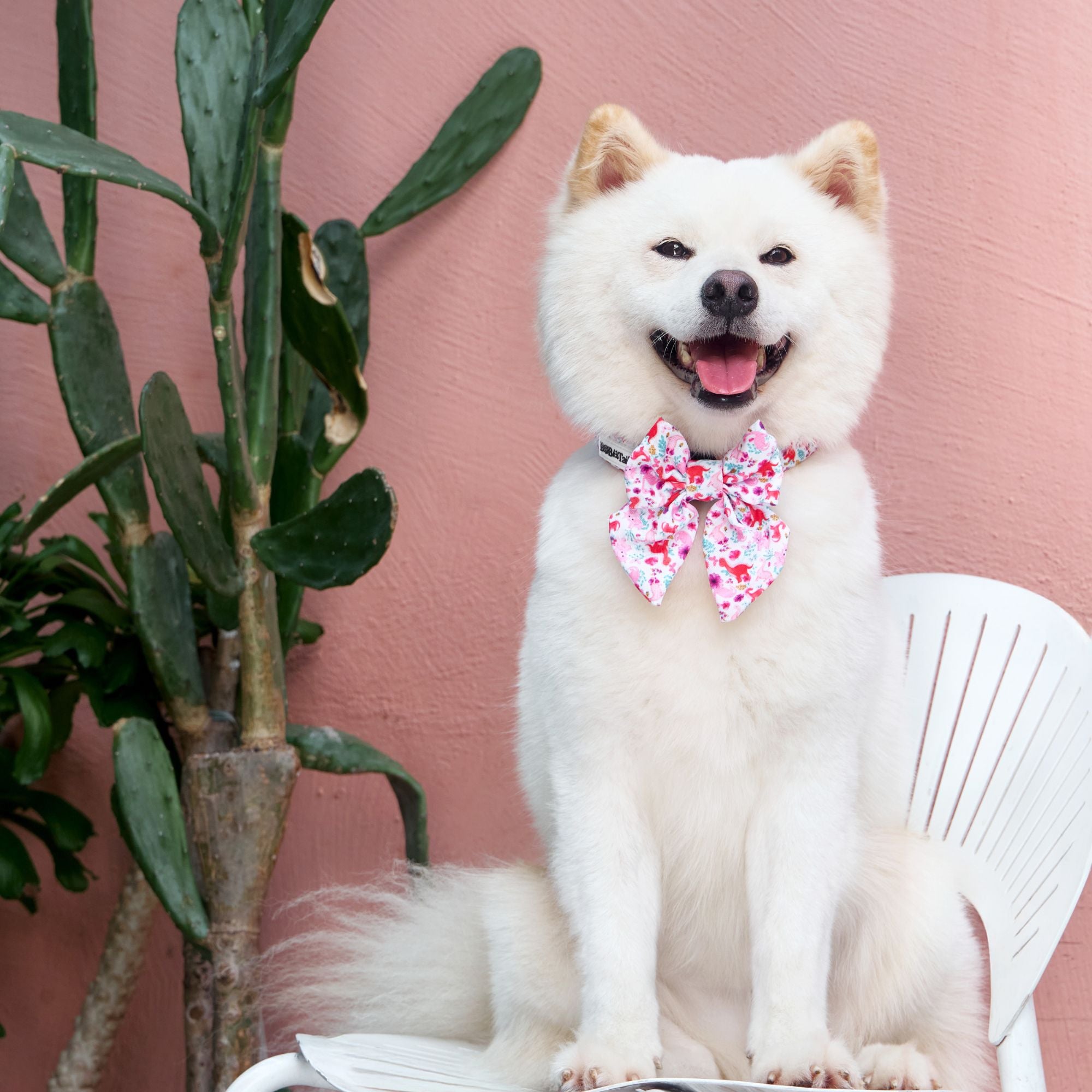 dinosaur printed bow ties for dogs bowties  matching the  harness and owner accessories for daily dog walks