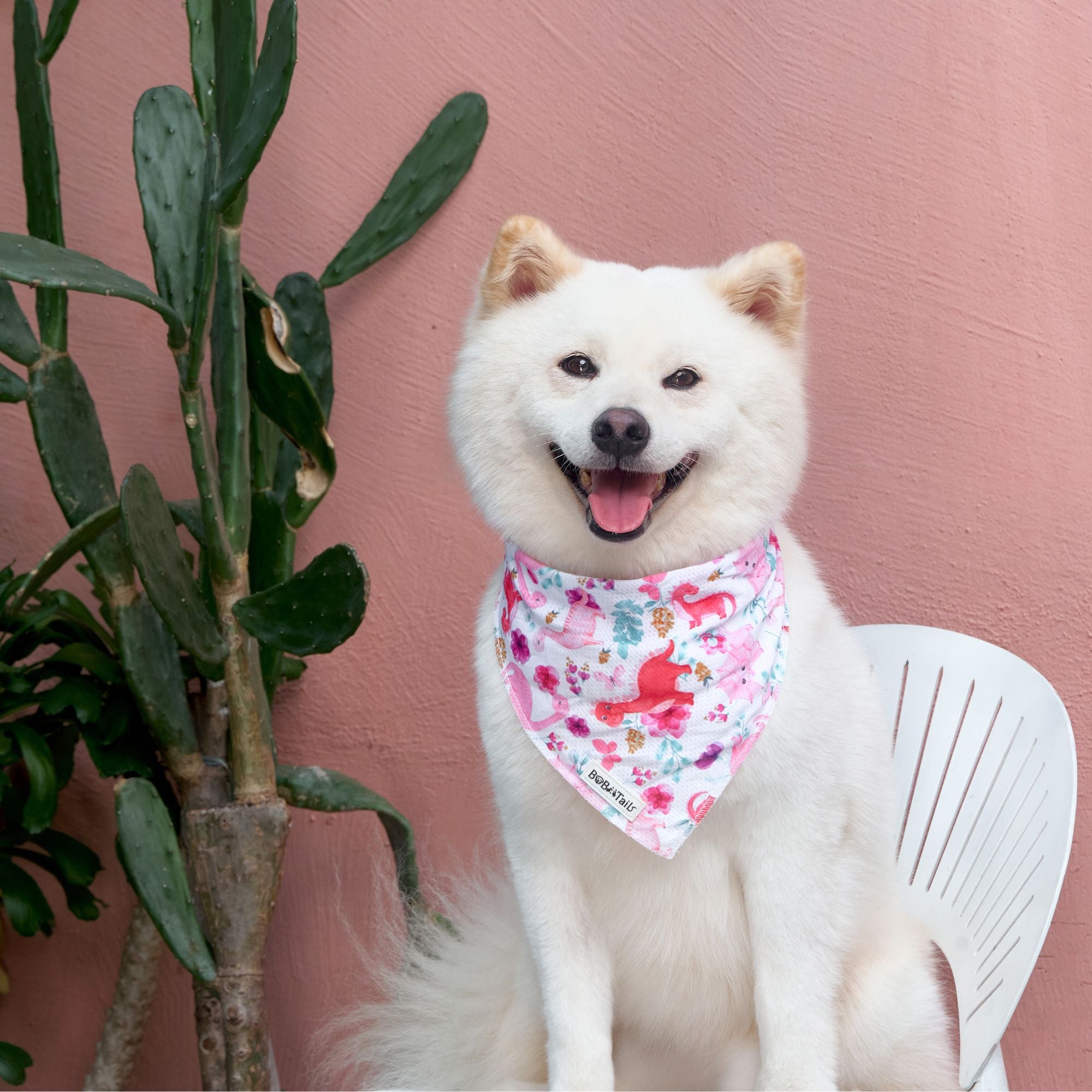 dinosaur printed dog bandanas  designed to match the harness and owner accessories in a coordinated system