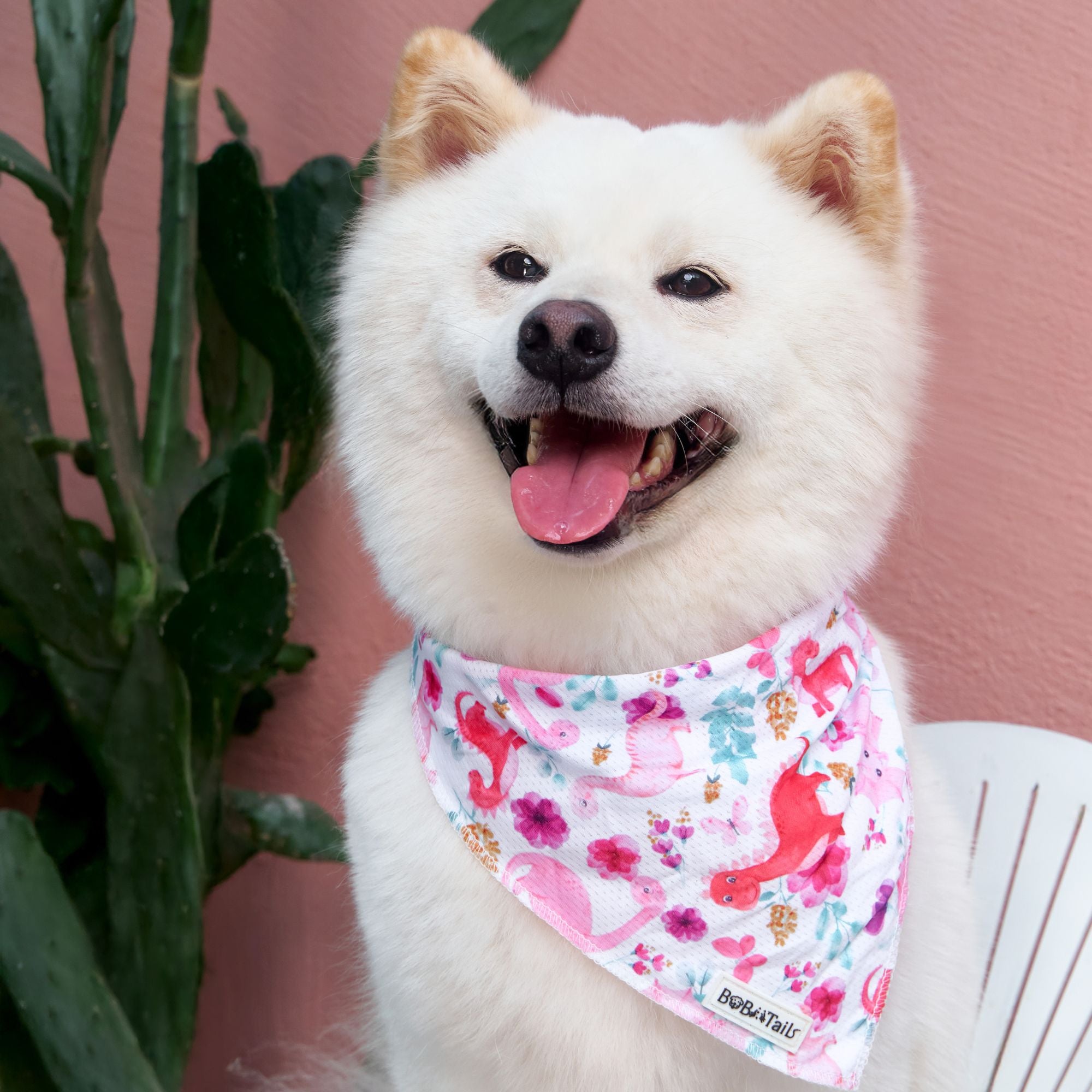 dinosaur printed dog bandanas for large dog matching the harness and owner accessories for daily dog walks