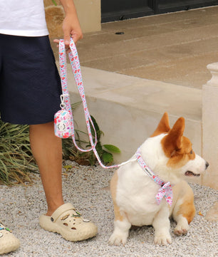 dinosaur printed dog collar and harness sets  s part of a complete dog and owner matching accessory set