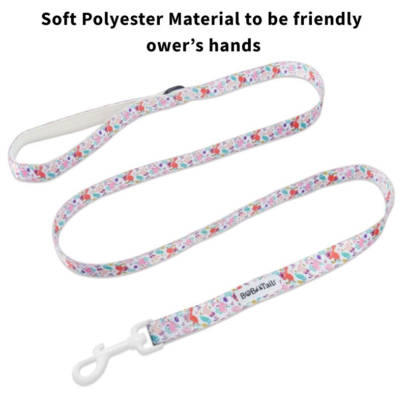 dinosaur printed dog collar and leash sets matching the harness and owner accessories in a coordinated set