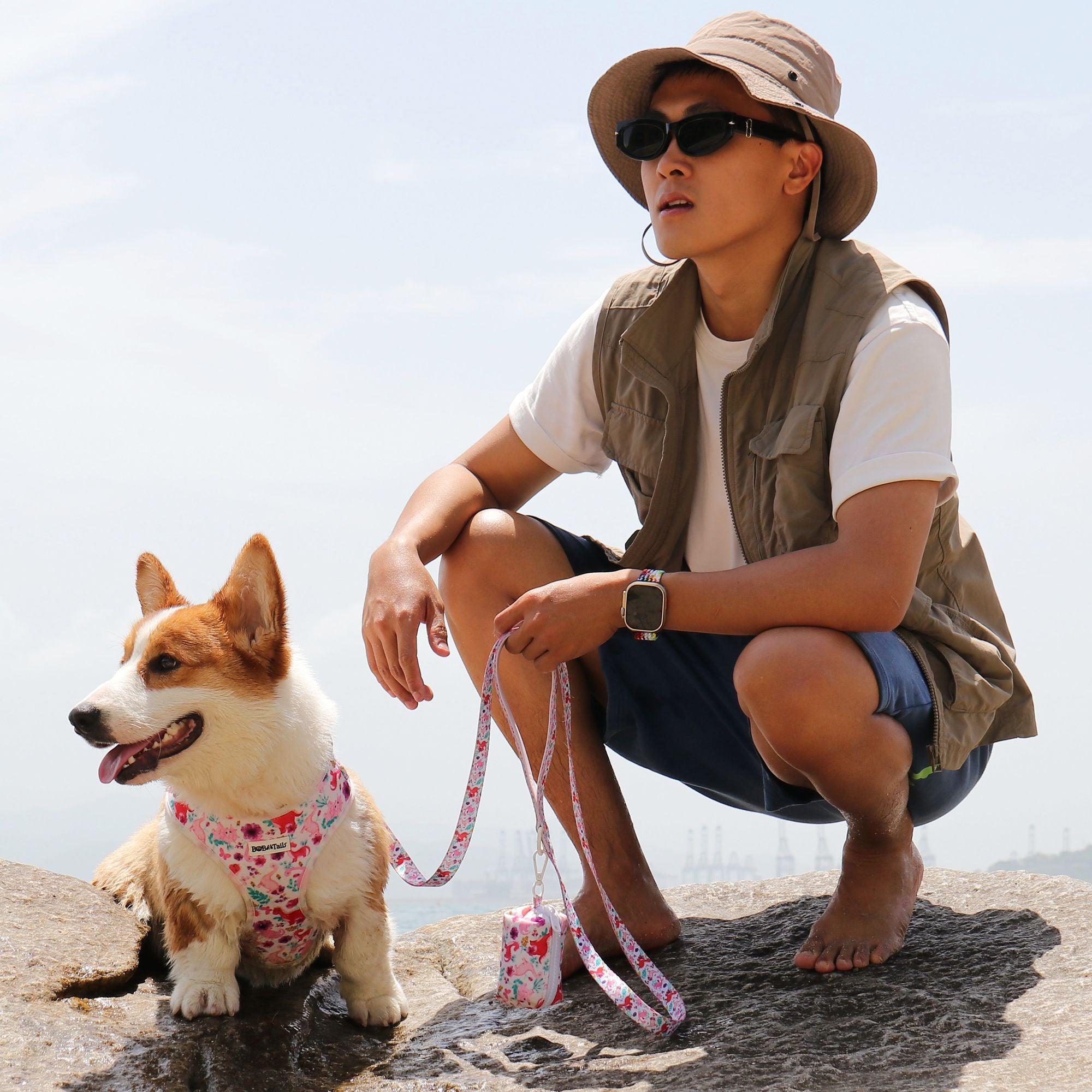 dinosaur printed dog harness and leash set  as part of a complete dog and owner matching accessory set