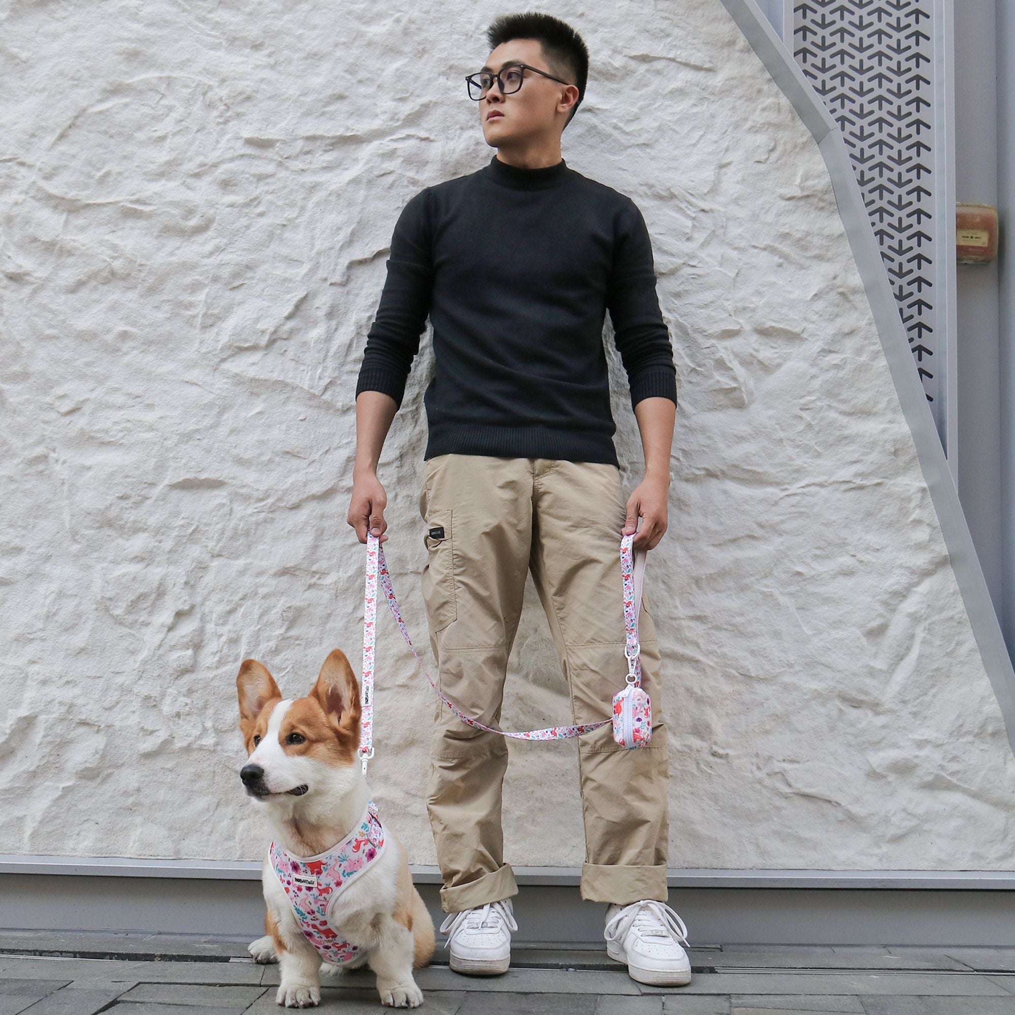 dinosaur printed dog harness and leash set  design as part of a complete dog and owner matching accessory set