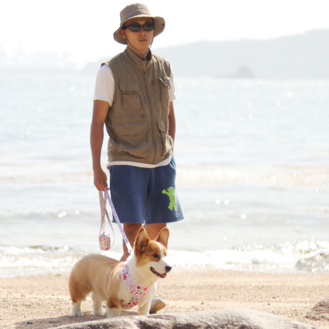 dinosaur printed dog harness leash  as part of a complete dog and owner matching accessory set