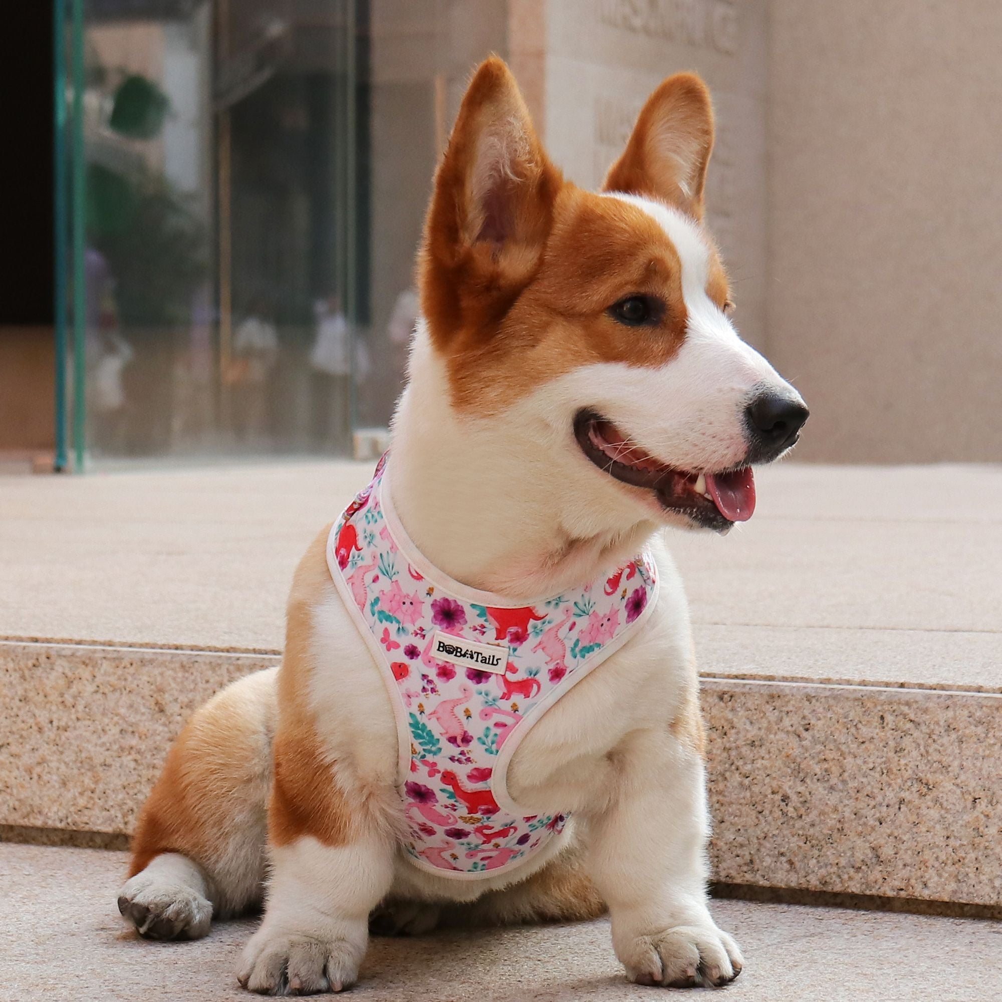 dinosaur printed  escape proof dog harness  matching dog and owner accessories designed as one coordinated system
