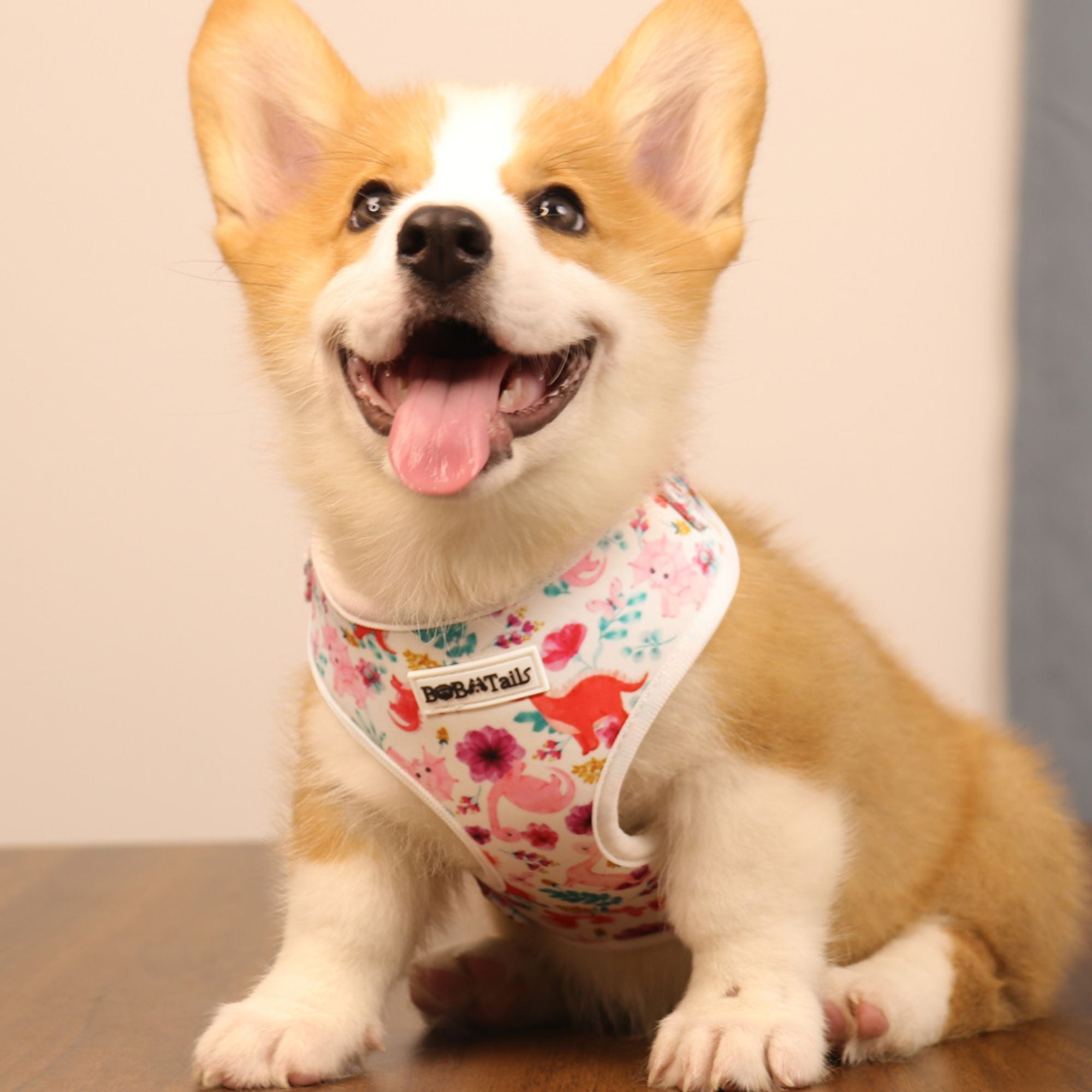 dinosaur printed secure harness for small dogs designed as part of a matching dog and owner accessory system for everyday walks