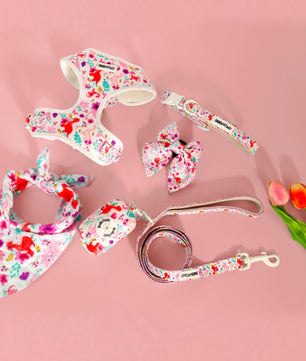 Ensemble harnais, laisse, collier et porte-sacs à crottes imprimé dinosaures