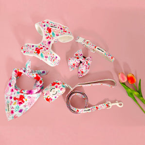 Dinosaur Printed Harness, Leash, Collar and Poop Bag Holder Bundle