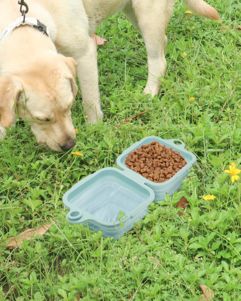 Bobotails dog bowls for summer outdoor activities,hiking,portable silicon bowls