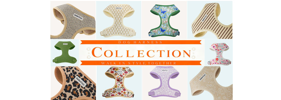 Collection of various dog harnesses with a 'Collection' banner in the center.
