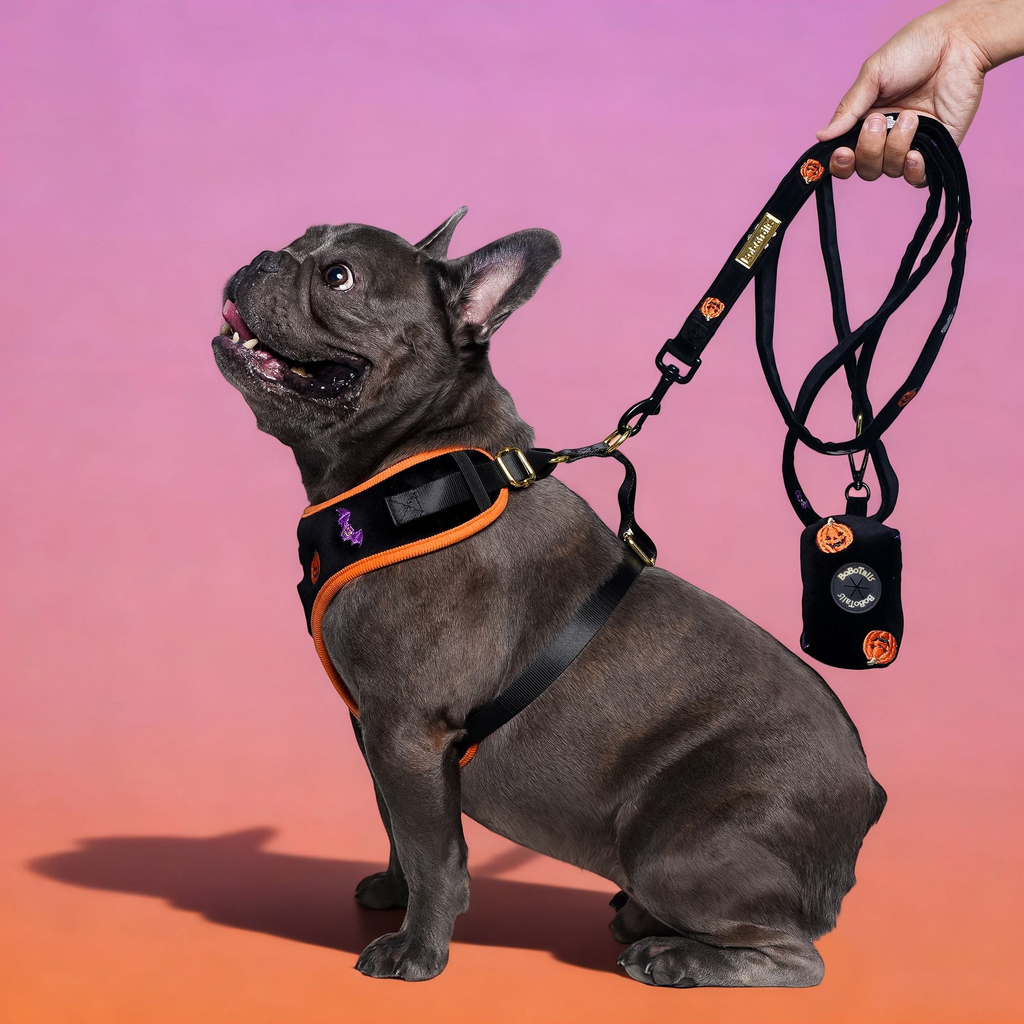 Hallowen Velvet Dog Leash | Bobotails