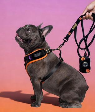 Halloween Poop Bag Holder