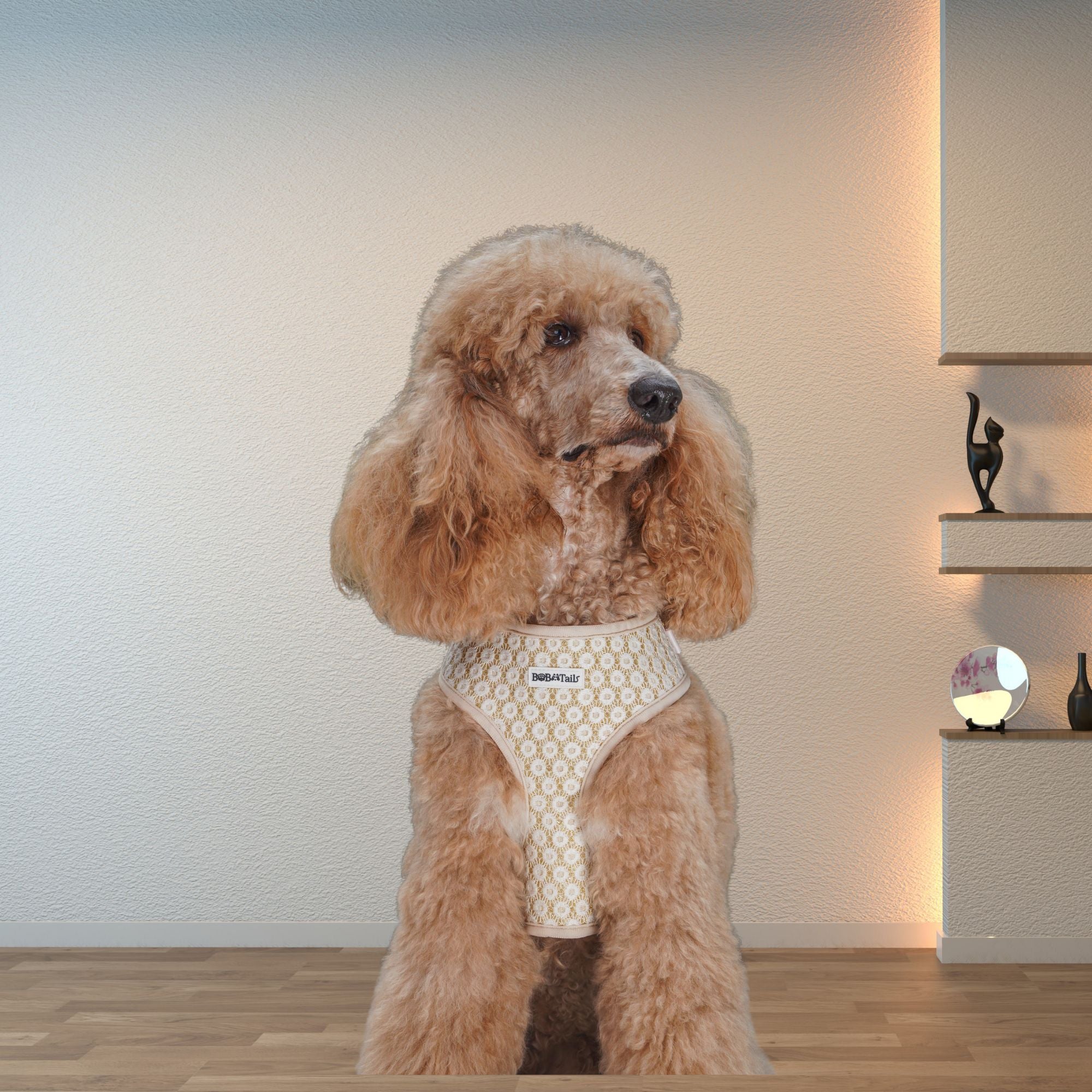 Brown poodle wearing a floral embroideried patterned harness 