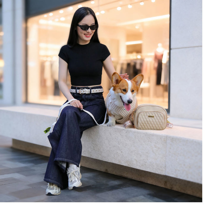 floral brilliance dog harness leash set with Matching Woman belt with dog walking bag