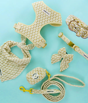 Floral brilliance Dog harness, leash, bowtie,women belt,collar ,bandana and poop bag holder with floral pattern on a light blue background