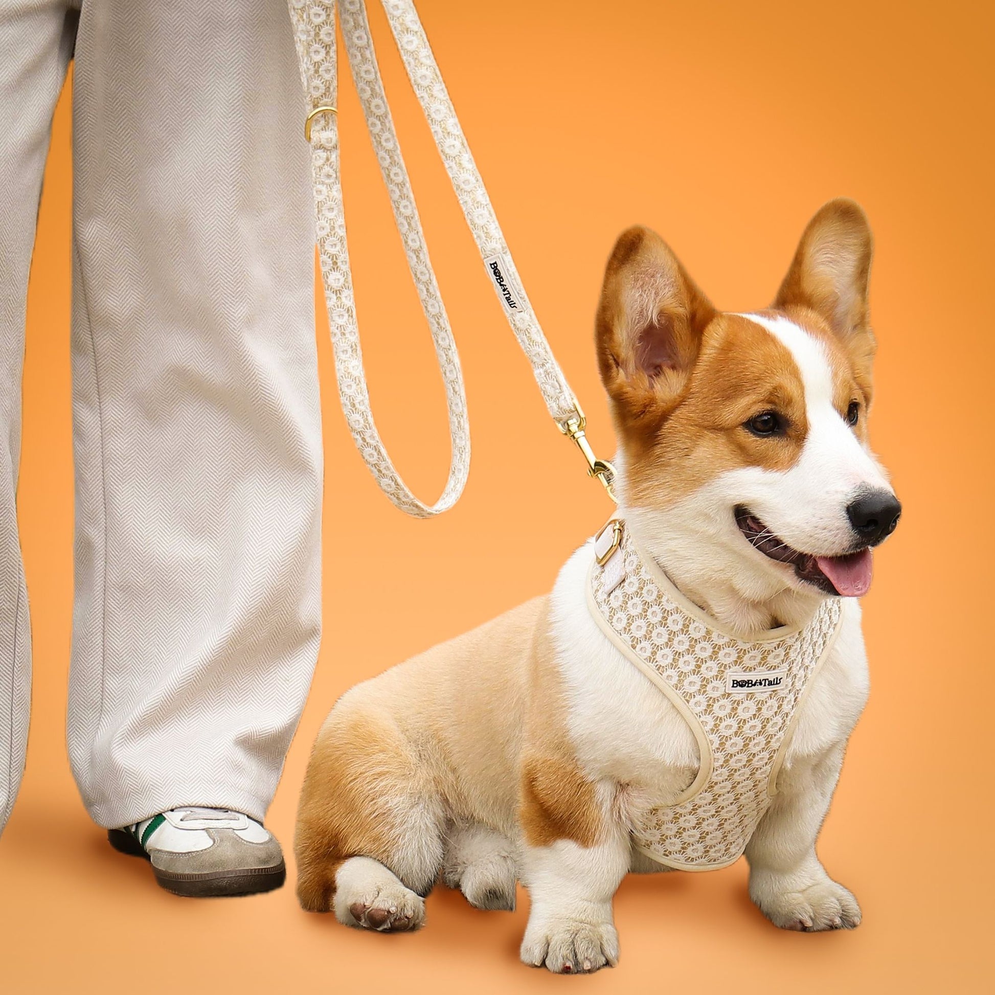 Floral Brilliance matching dog harness and leash set with embroidered floral design and secure buckle
