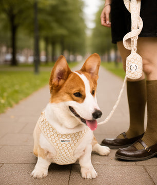 Embroidered poop bag holder dispenser with Floral Brilliance design for dog walking essentials

