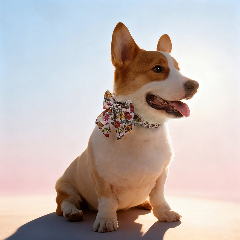 flower printed best dog collars for training designed to coordinate with dog harness and accessories as part of a matching system