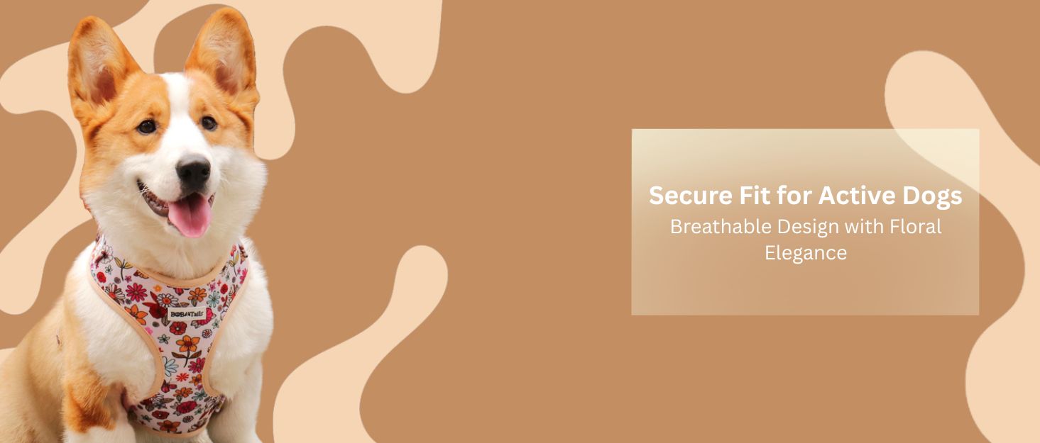 flower printed best dog harness for running designed to match the harness and owner accessories for modern pet parents 