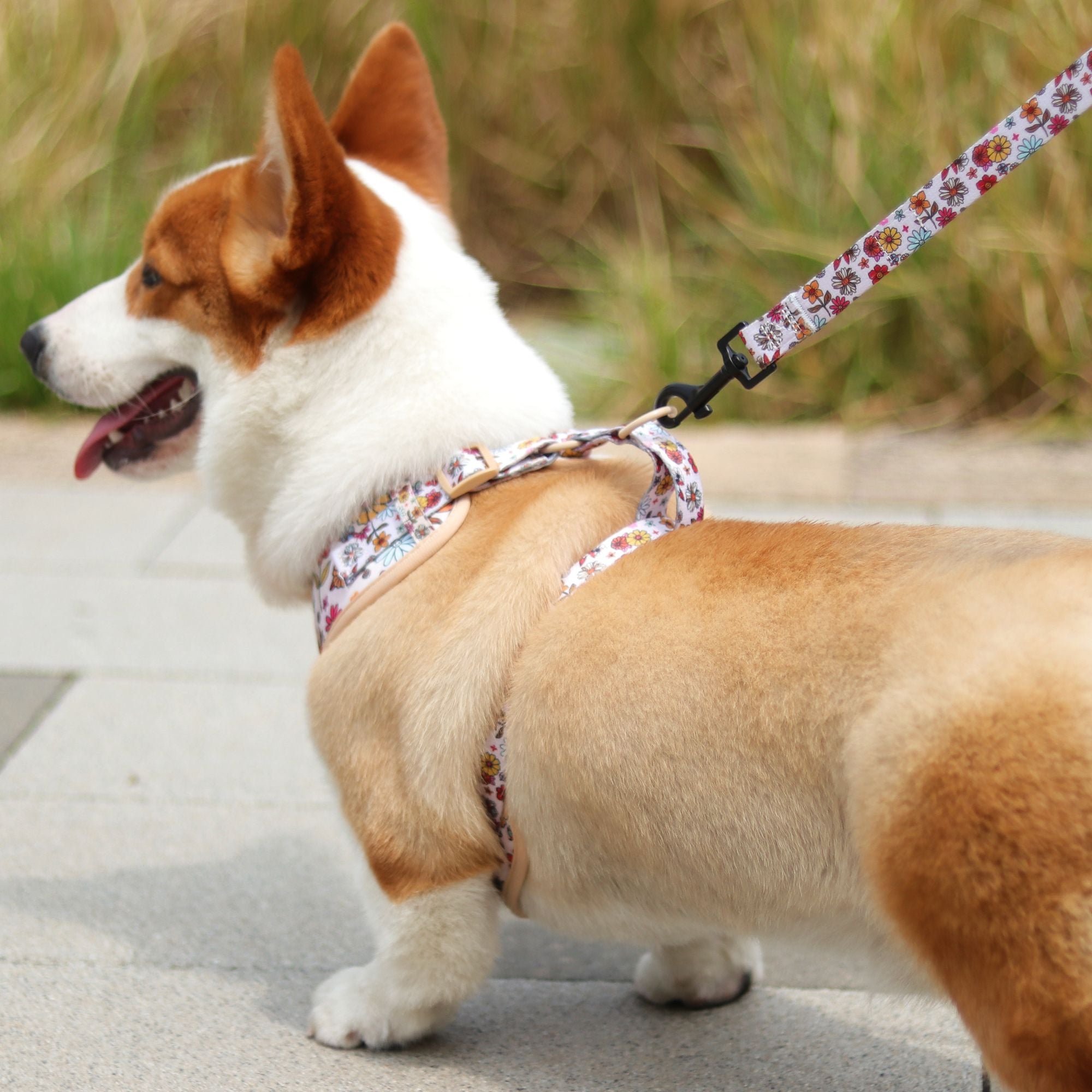 flower printed best dog harness for walking  designed to match the harness and owner accessories in a coordinated system