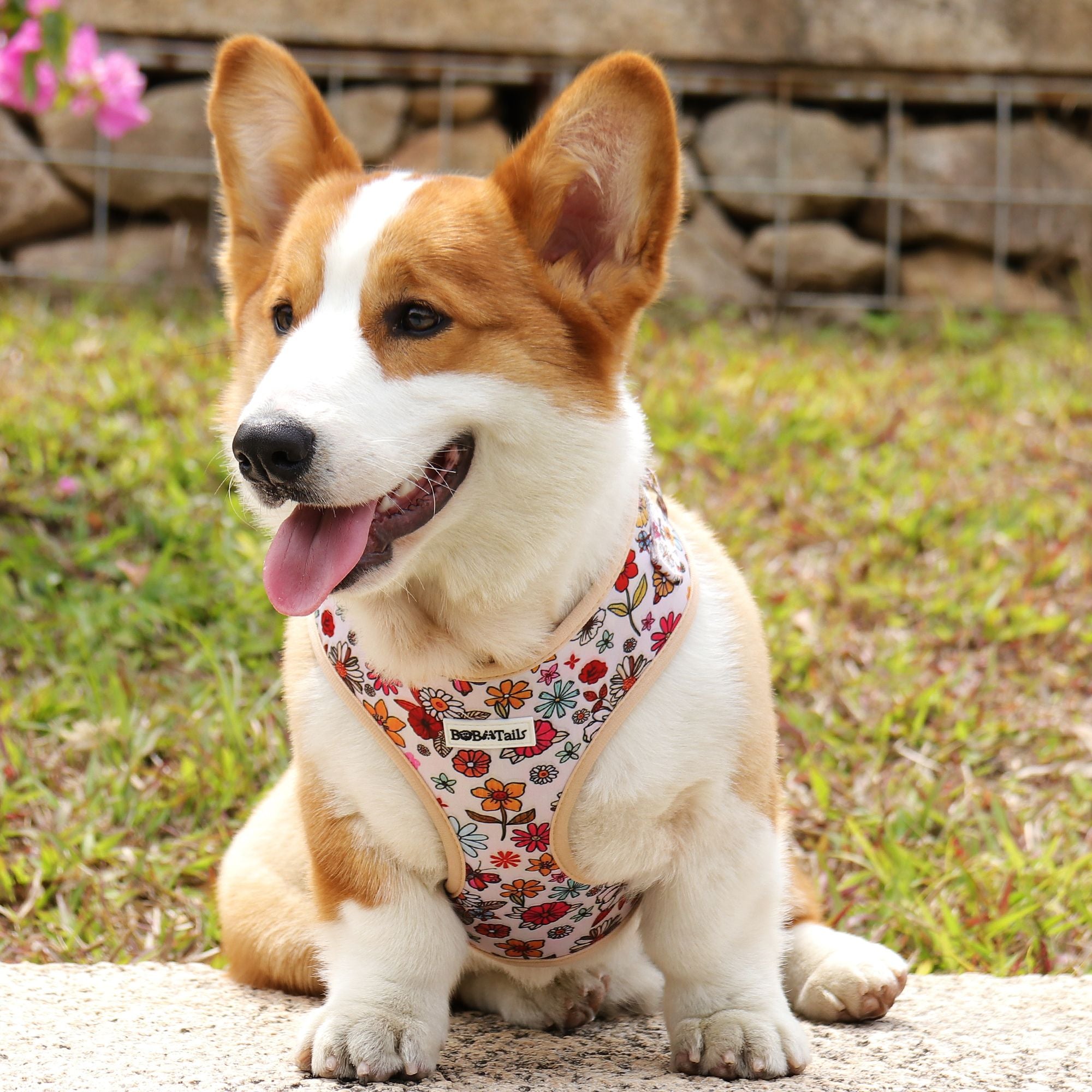 flower printed  best no-pull dog harness designed as part of a matching dog and owner accessory system for everyday walks