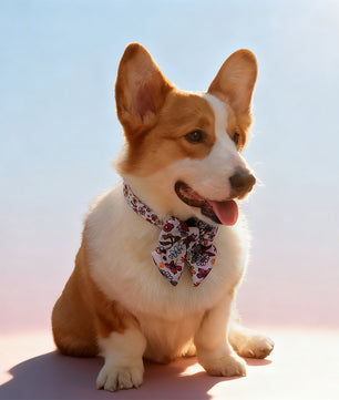flower printed bow tie collars for big dogs designed to coordinate with dog harness and accessories as part of a matching system