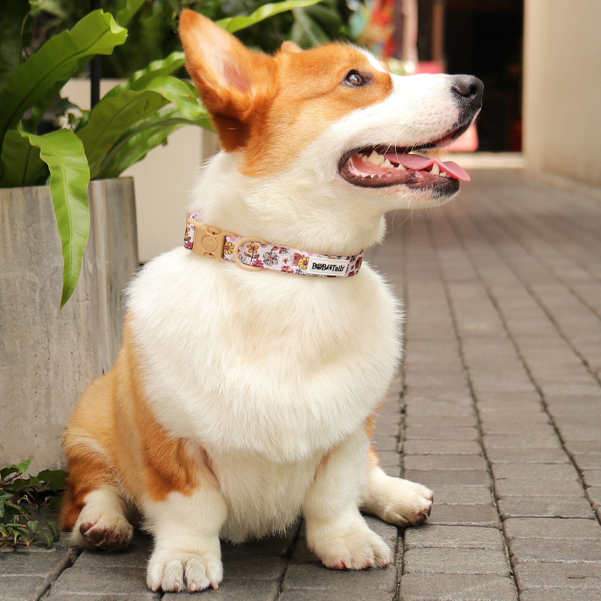  flower printed bow tie collars for dogs  designed to match the harness and owner accessories for modern pet parents