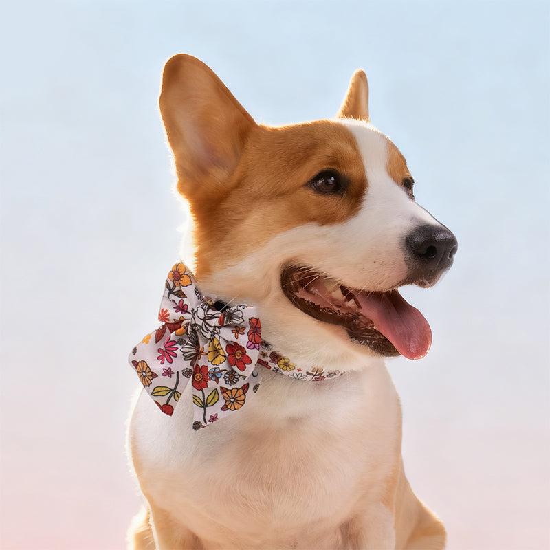 flower printed bow tie collars for small dogs designed to coordinate with dog harness and accessories as part of a matching system