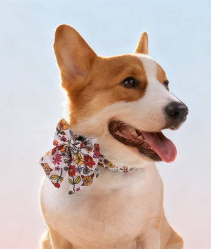 flower printed bow tie collars for small dogs designed to coordinate with dog harness and accessories as part of a matching system