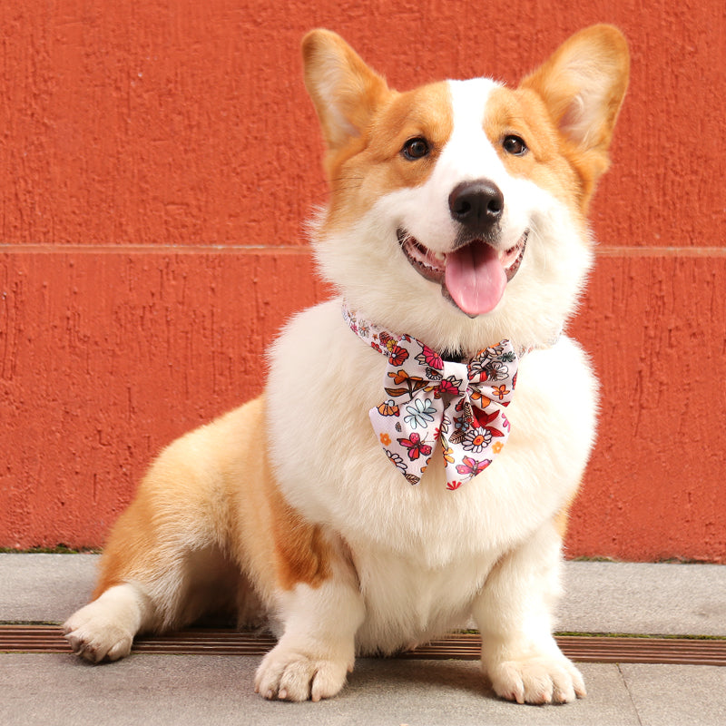 flower printed bow tie dog collar small designed to match the harness and owner accessories in a coordinated system
