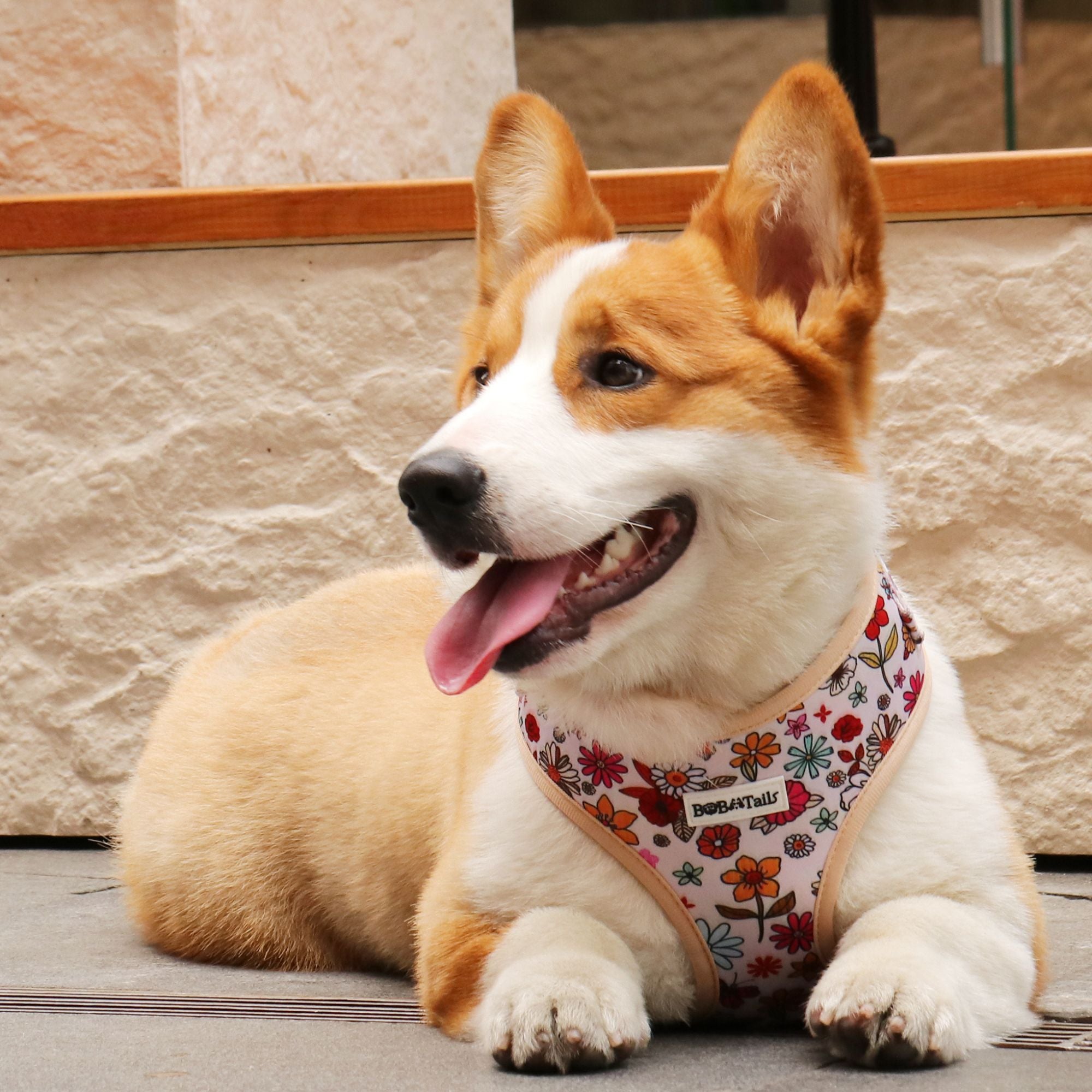 flower printed cute dog harnesses designed as part of a matching dog and owner accessory system for everyday walks