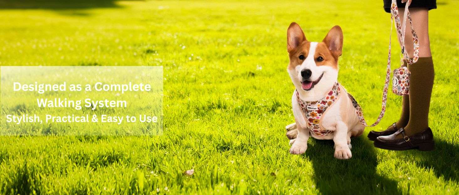 flower printed designer dog harness and leash set designed as part of a matching dog and owner accessory system for everyday walks