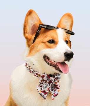 flower printed dog bow tie collars christmas designed to match the harness and owner accessories in a coordinated system