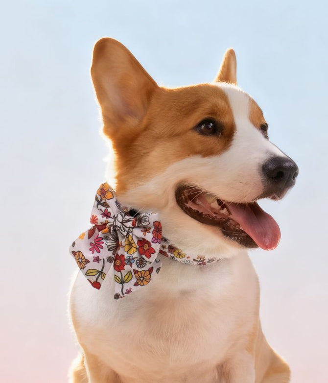 Dog wearing a flower bandana with a light blue background