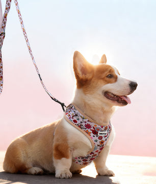 flower printed dog harness and leash set matching the  harness and owner accessories for daily dog walks