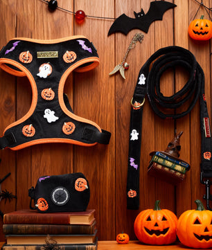 Halloween Velvet Dog Leash