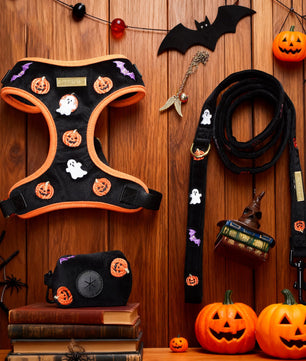 Halloween-themed dog harness and leash set on a wooden background with pumpkins and bats-BOBOTAILS