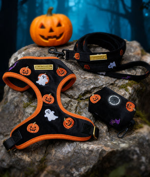 Halloween Velvet Dog Leash