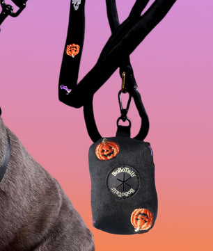 Halloween Dog Harness Matching Set Bundle