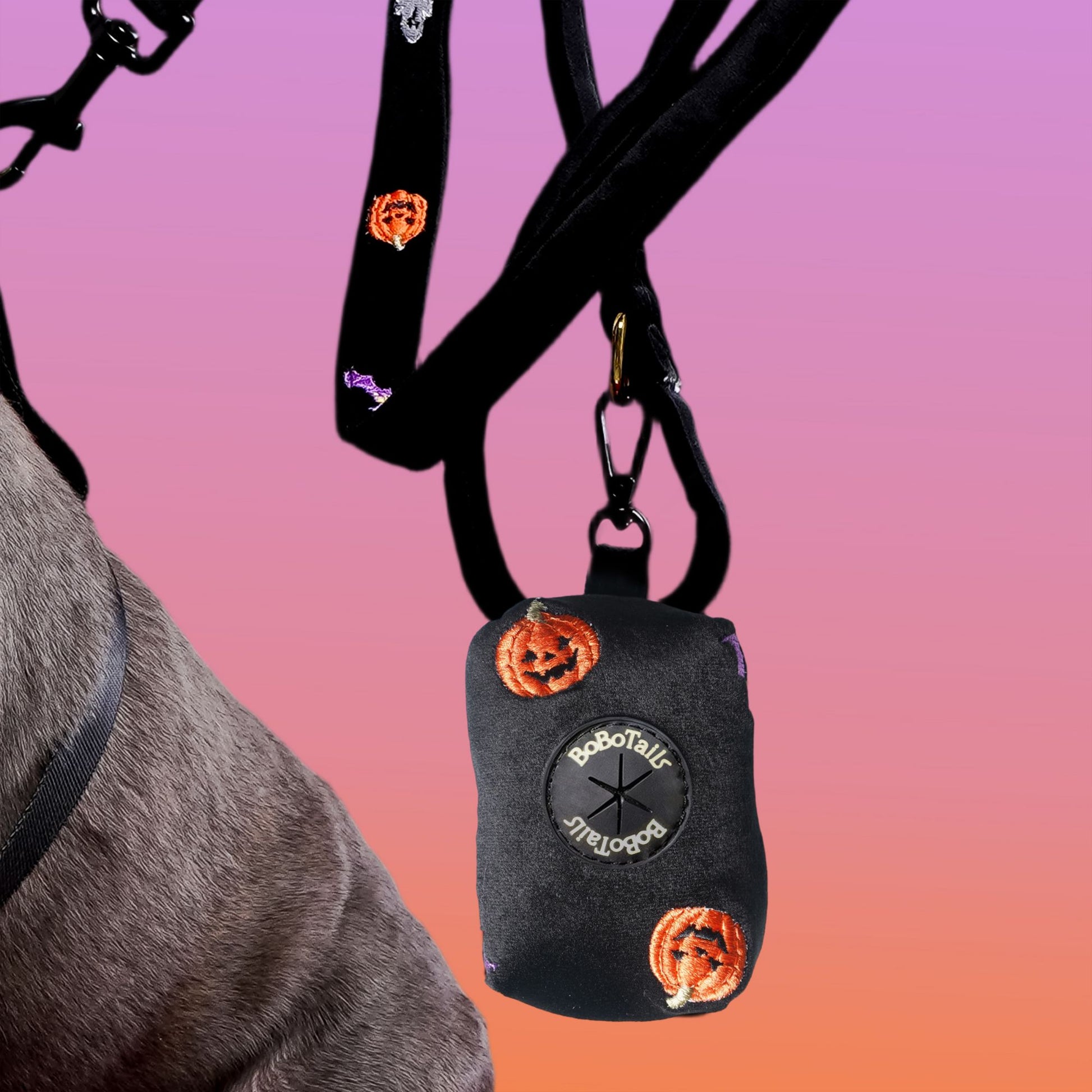 Halloween Dog Harness Matching Set Bundle