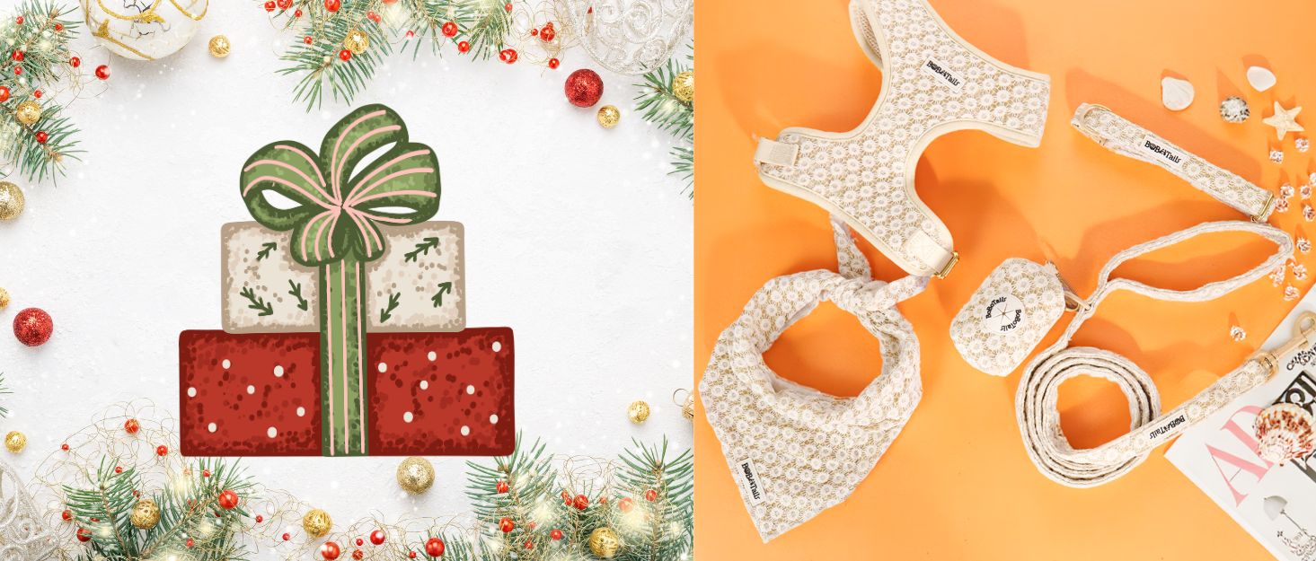 Decorative Christmas gift dog harness and leash set for dog parents