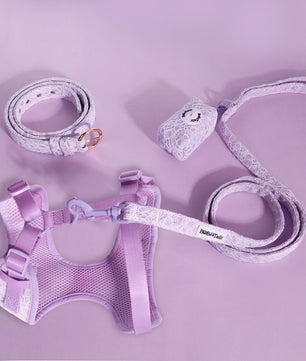 Lavender Lace 4-Piece Set – Romantic Matching Bundle with Women's Belt