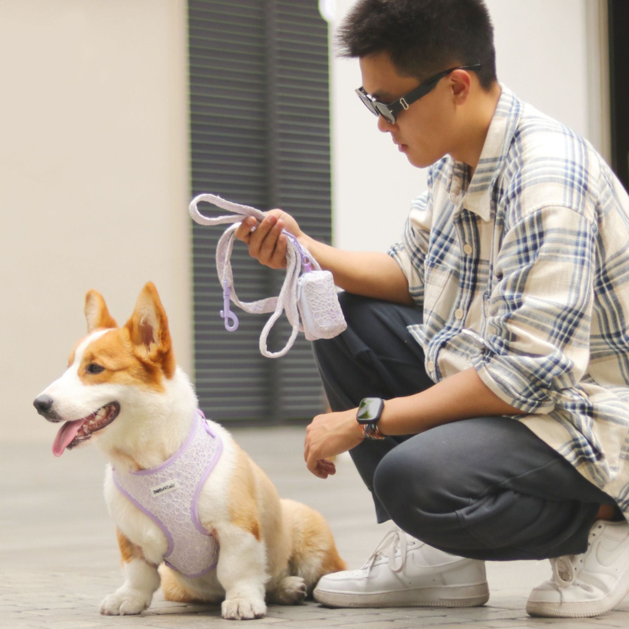 lavender lace dog harness and leash as part of a complete dog and owner matching accessory set 
