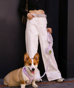 lavender lace dog harness leash set  and  woman belt for  Modern pet parent enjoying a relaxed walk with their dog using coordinated accessories in daily life