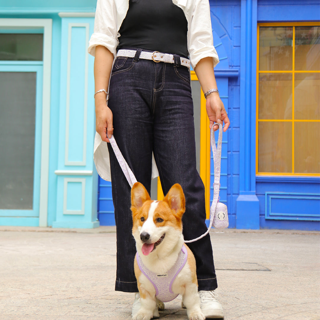 lavender lace dog harness leash set with matching women's belt designed as part of a matching dog and owner accessory system for everyday walks