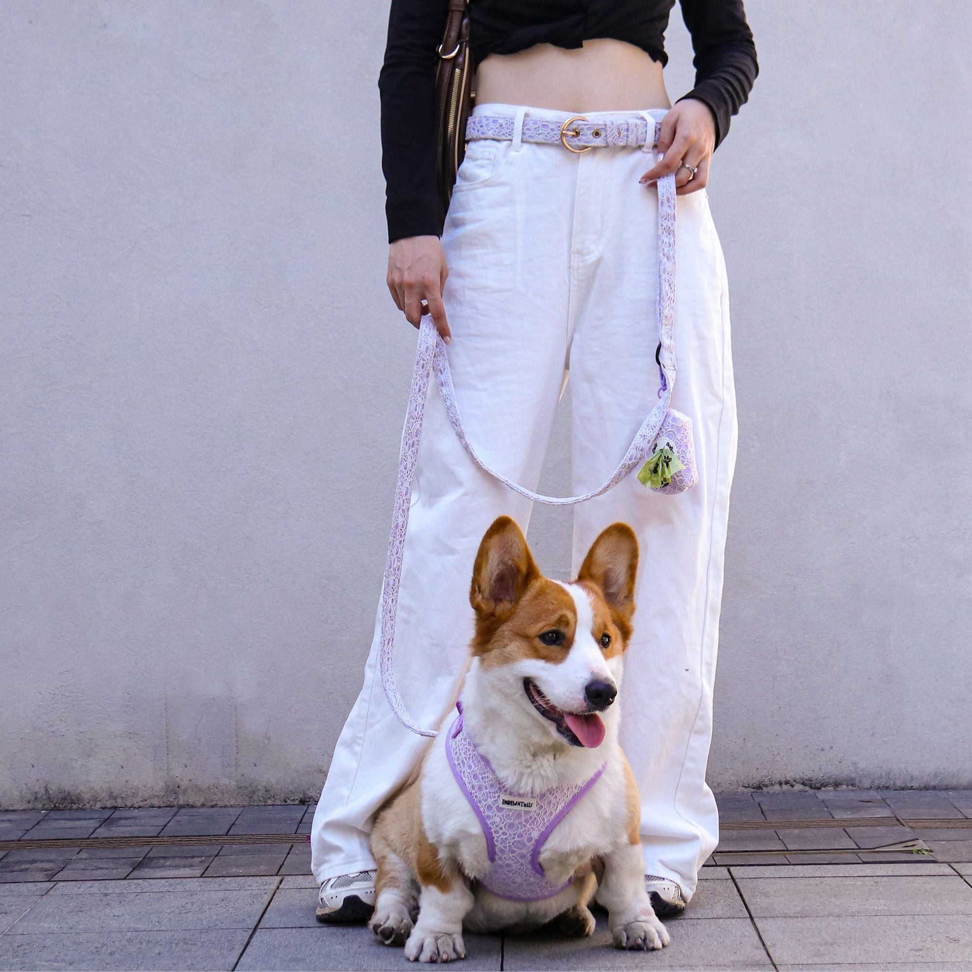 lavender lace dog leash with poop bag holder and matching crescent shoulder bag for  everyday city walk showing how dog and owner accessories work together naturally