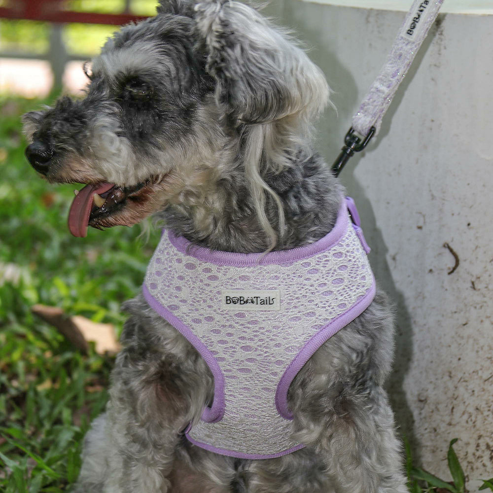 lavender lace small dog harness and leash set  design as part of a complete dog and owner matching accessory set