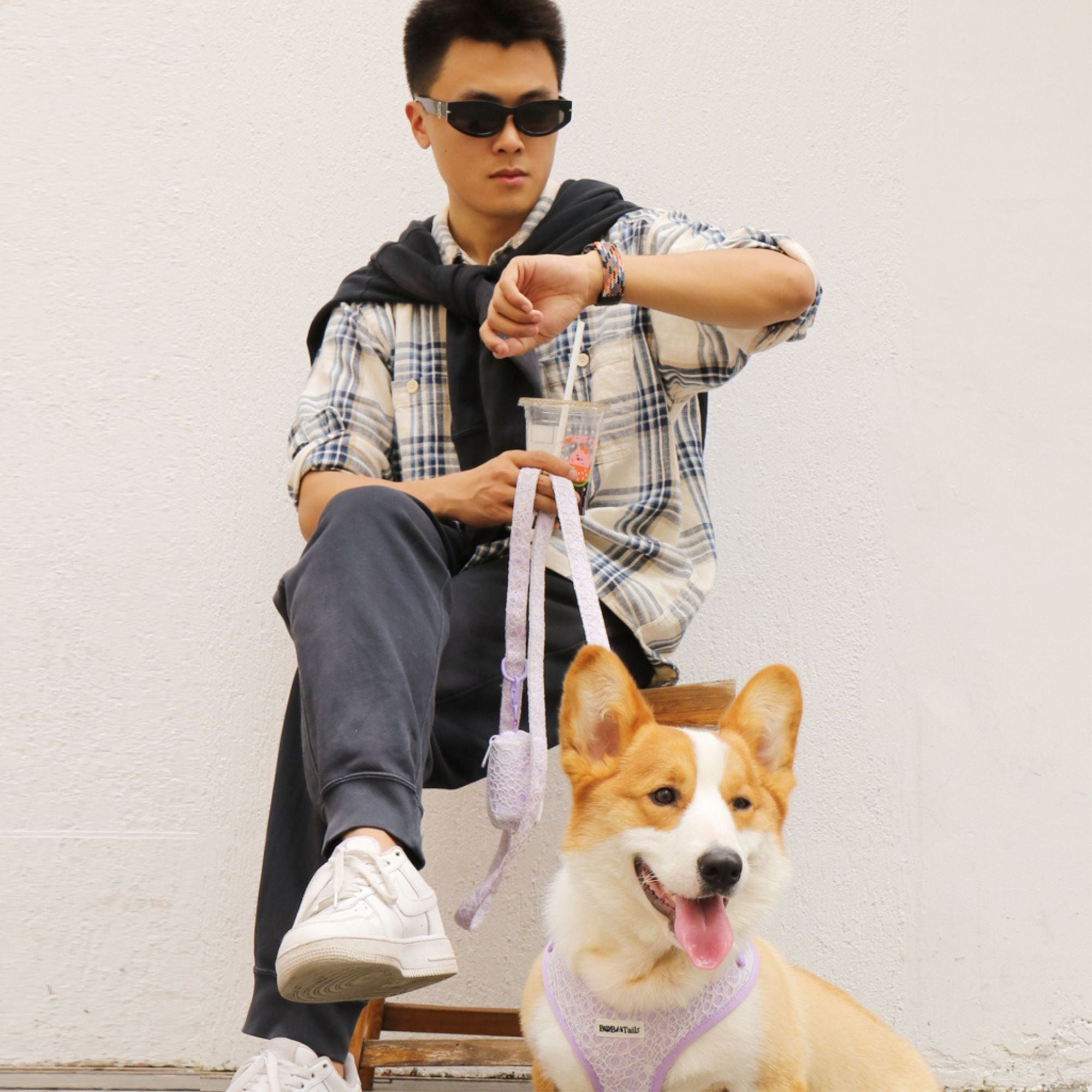 lavender lace jogging leashes for dogsmatching the harness and owner accessories in a coordinated set